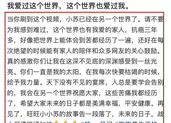 博客时代回顾_如何在新浪博客里面添加音乐播放器_博客平台现状分析