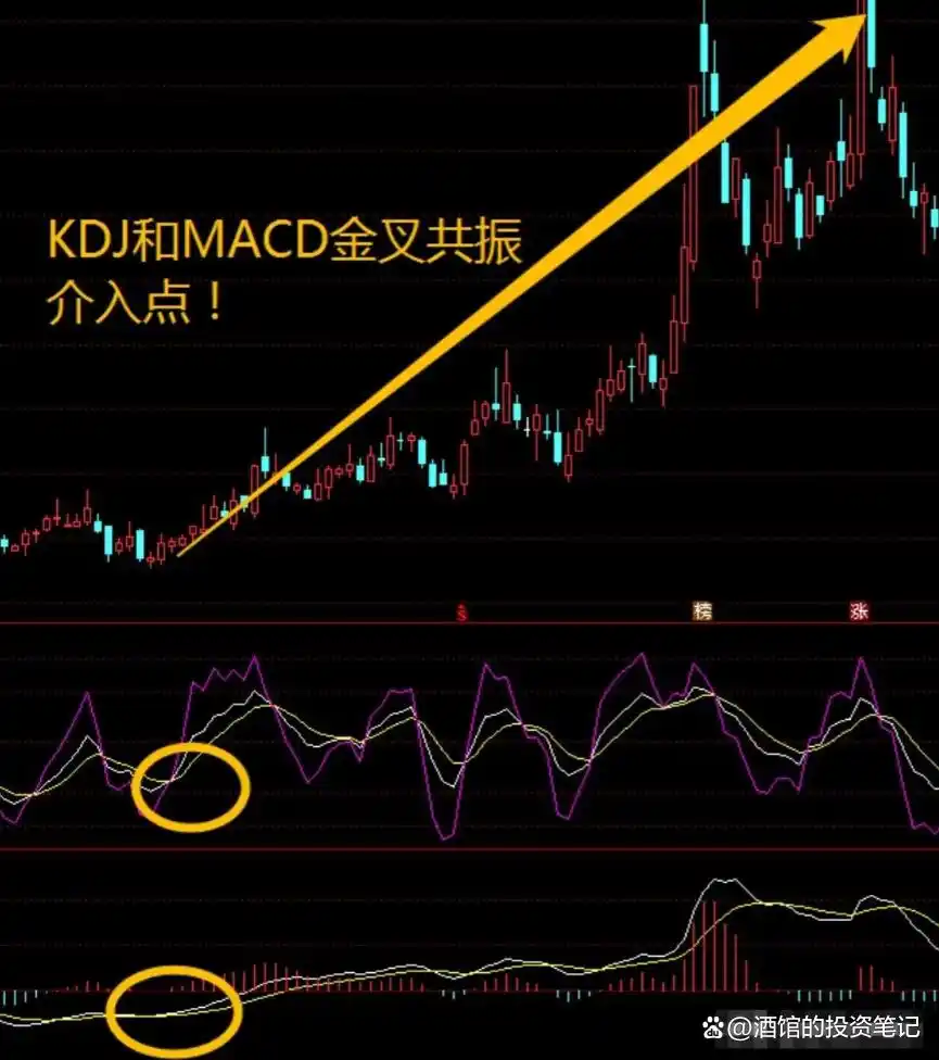 市场主力割肉散户策略_股票前带n_涨停股前六信号识别