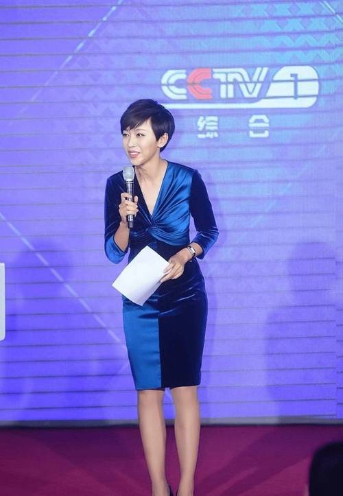 欧阳夏丹主持视频_欧阳夏丹 48岁未婚未育生活状态_欧阳夏丹 央视离职原因
