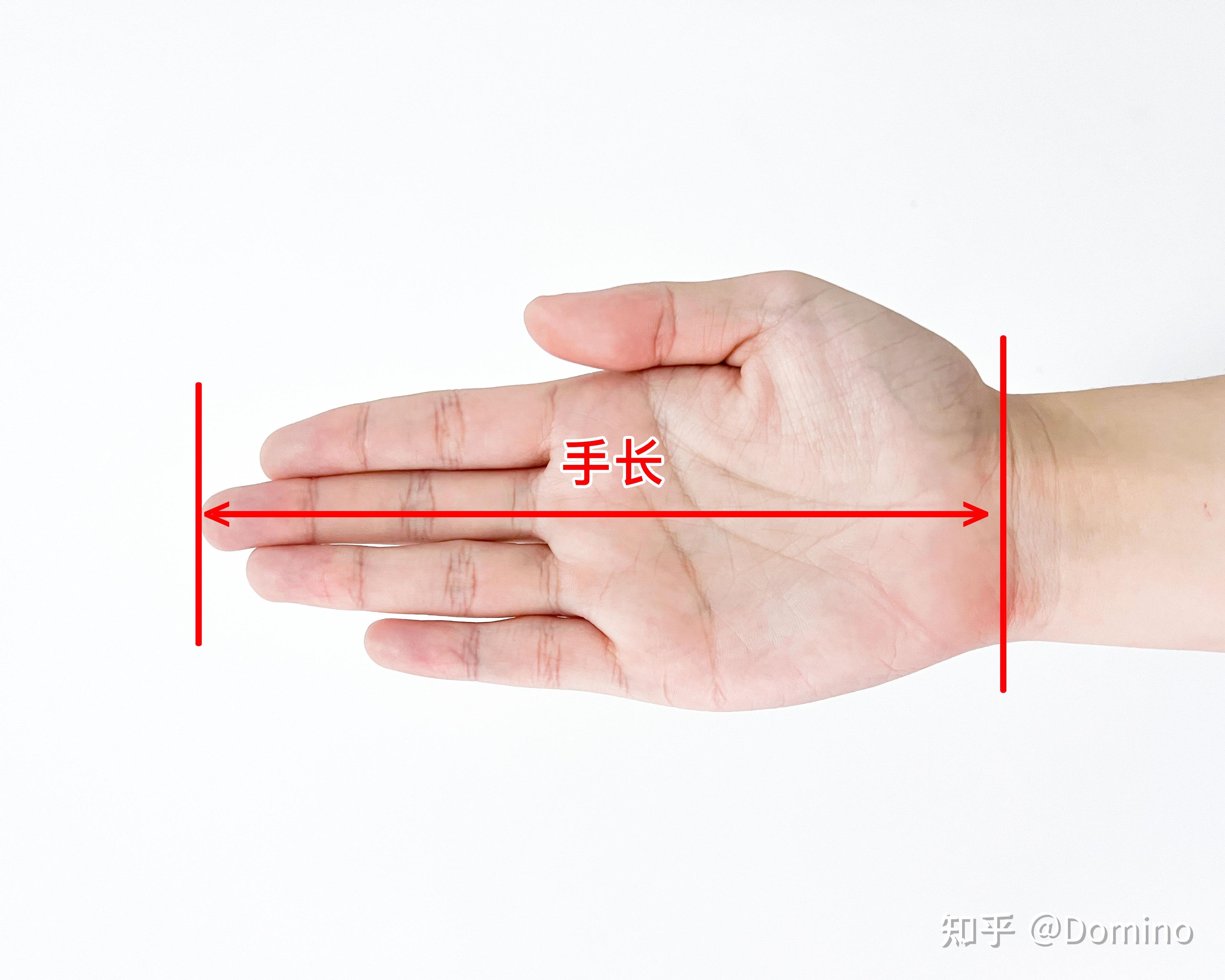 外设发烧友吐血推荐！不同手掌大小鼠标最优选来啦