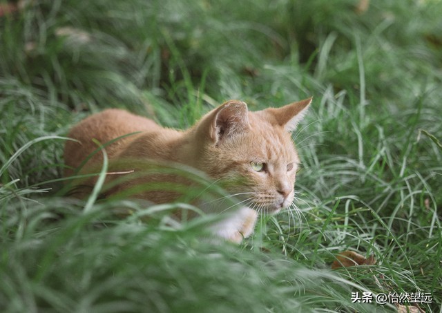 大数据负面信息有什么_算法捕捉情绪状态_大数据时代心理标签