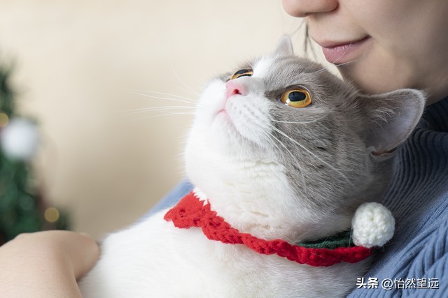 大数据时代心理标签_算法捕捉情绪状态_大数据负面信息有什么