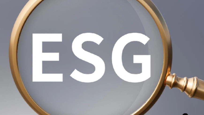 即在风险控制层面保证公司能够满足ESG最低要求，在当下存活下来