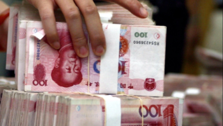 国务院关于2024年度中央预算执行和其他财政收支的审计工作报告