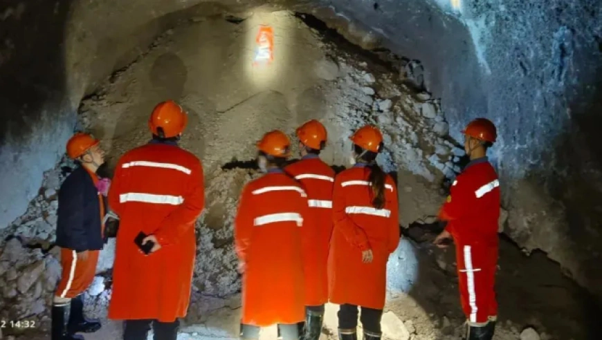 冷门专业的“冷暖人生”：从迷茫到热爱，从选择到成长