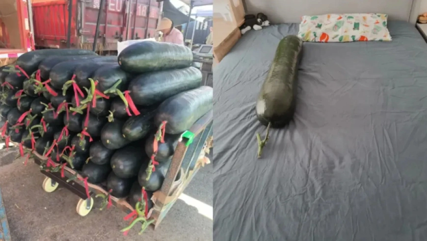 “抱冬瓜睡觉”降温法：原理、适用人群与实操指南