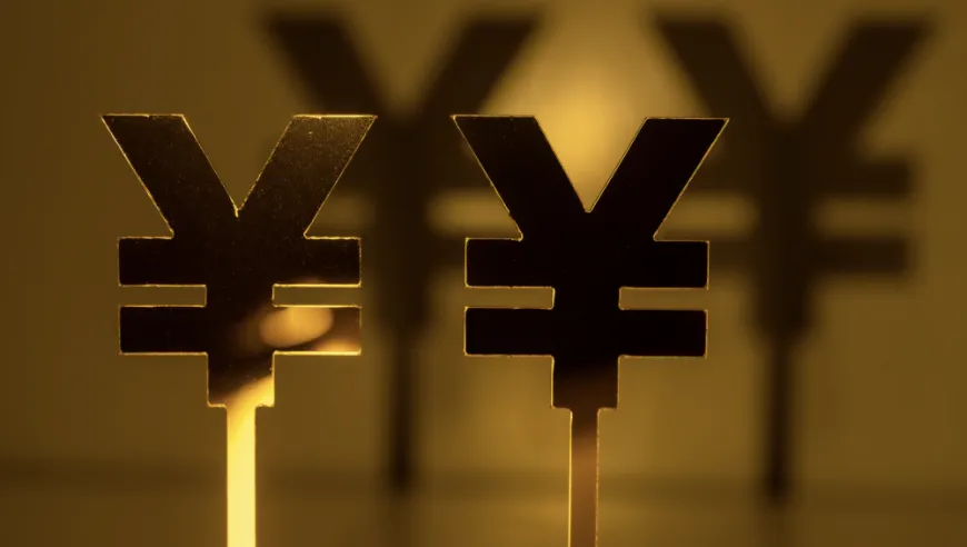 央行年内再注销三张支付牌照，累计退场106张仅剩165席