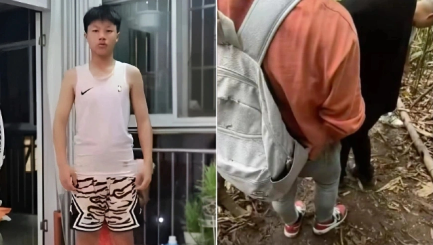 湖北三名高中生“送犀牛角”被骗至缅北失联20余天，母亲泣血求助社会援手