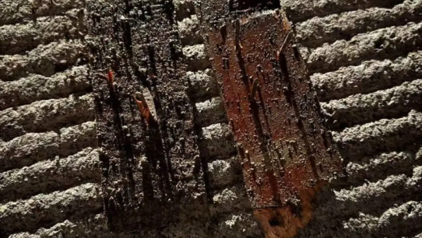 重庆酉阳村民安葬老人遇阻：路上被放钉子，墓地被埋死狗