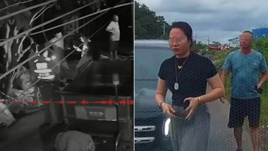 “亮证逼迫让路”事件告一段落：女司机道歉，相关部门立案调查