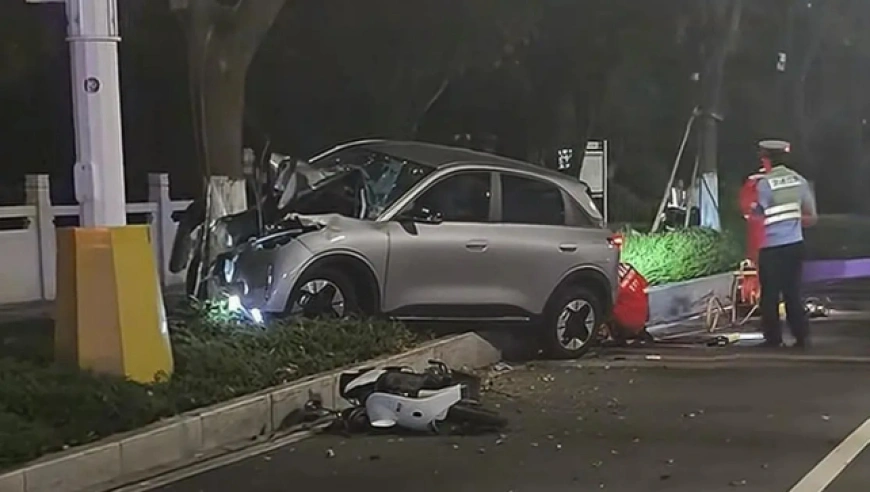 温州苍南凌晨交通事故致2女生死亡  代驾驾驶轿车