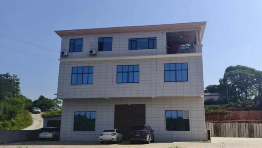 长沙地下代孕机构被曝光，多人被处罚，违法所得被没收