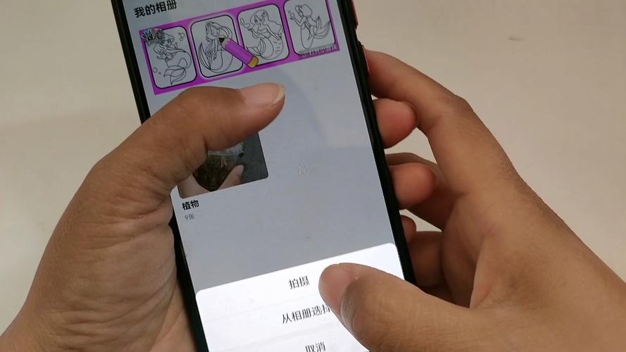 支持外链的相册大揭秘！国内外17个稳定无限免费相册分享