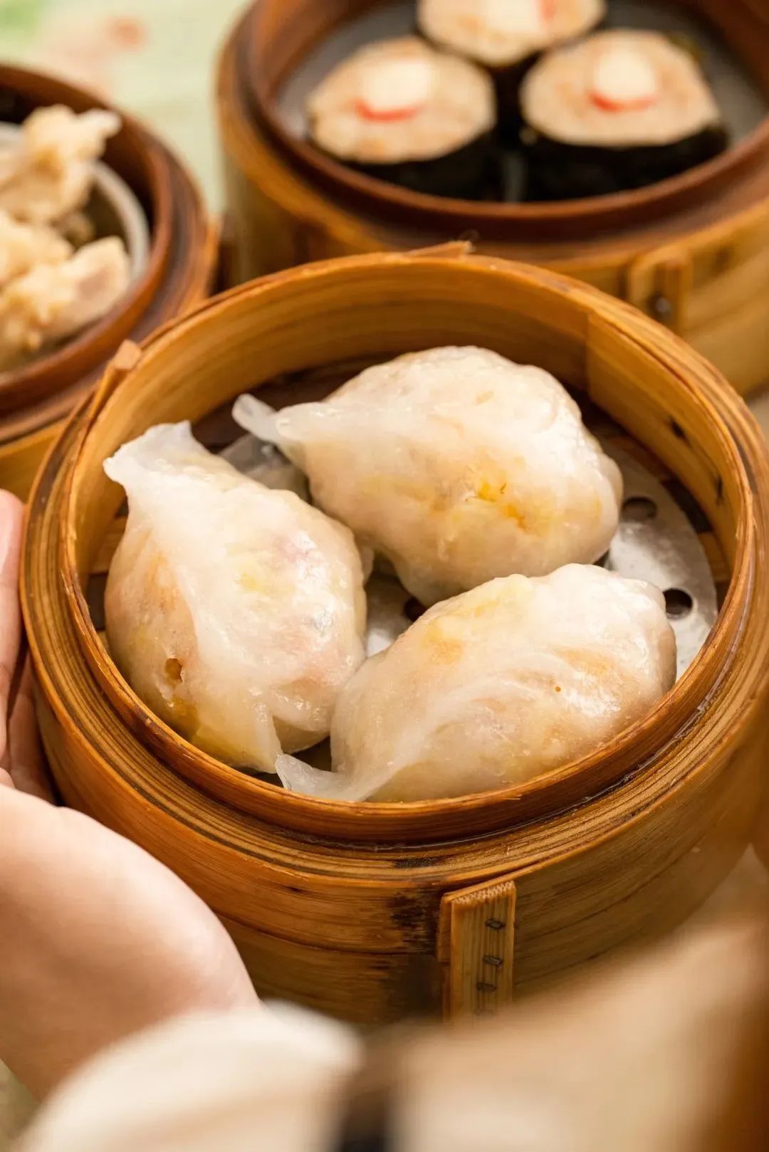 府城,兴丹路,早茶_东莞居民楼下的早茶档_东莞宝藏早茶店