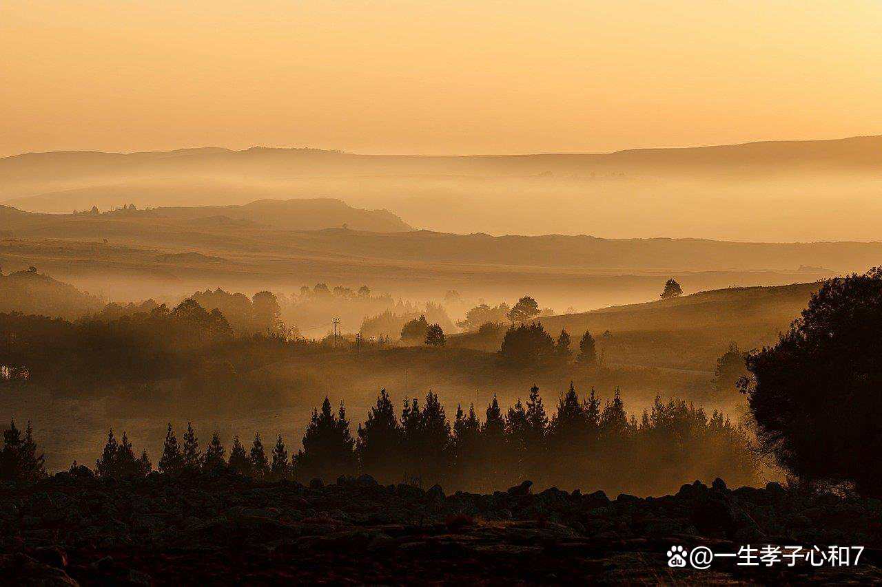 HTML5画布（Canvas）：强大工具助力网页绘制图形与动画效果