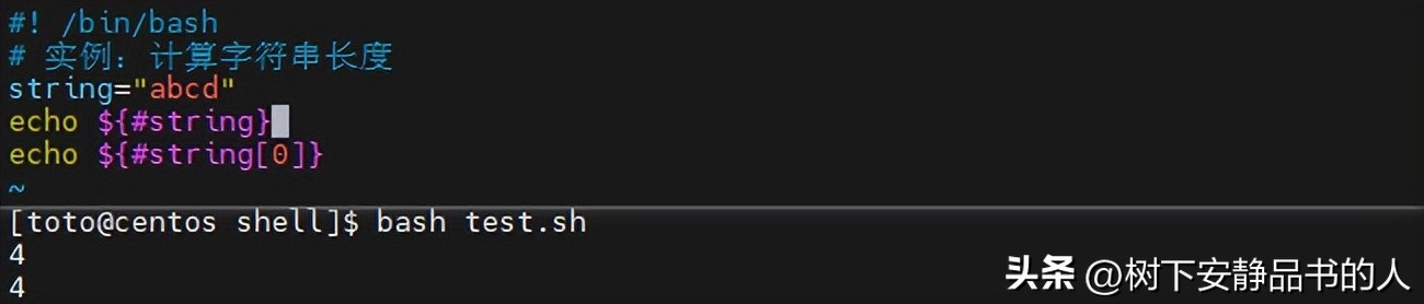 bash与zsh比较_java执行shell脚本_Shell编程入门教程