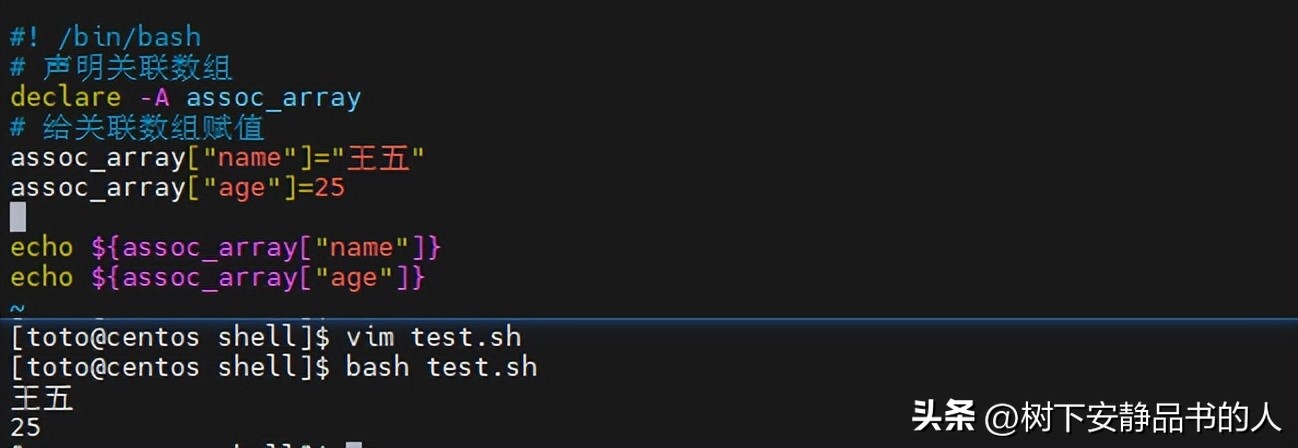 bash与zsh比较_java执行shell脚本_Shell编程入门教程