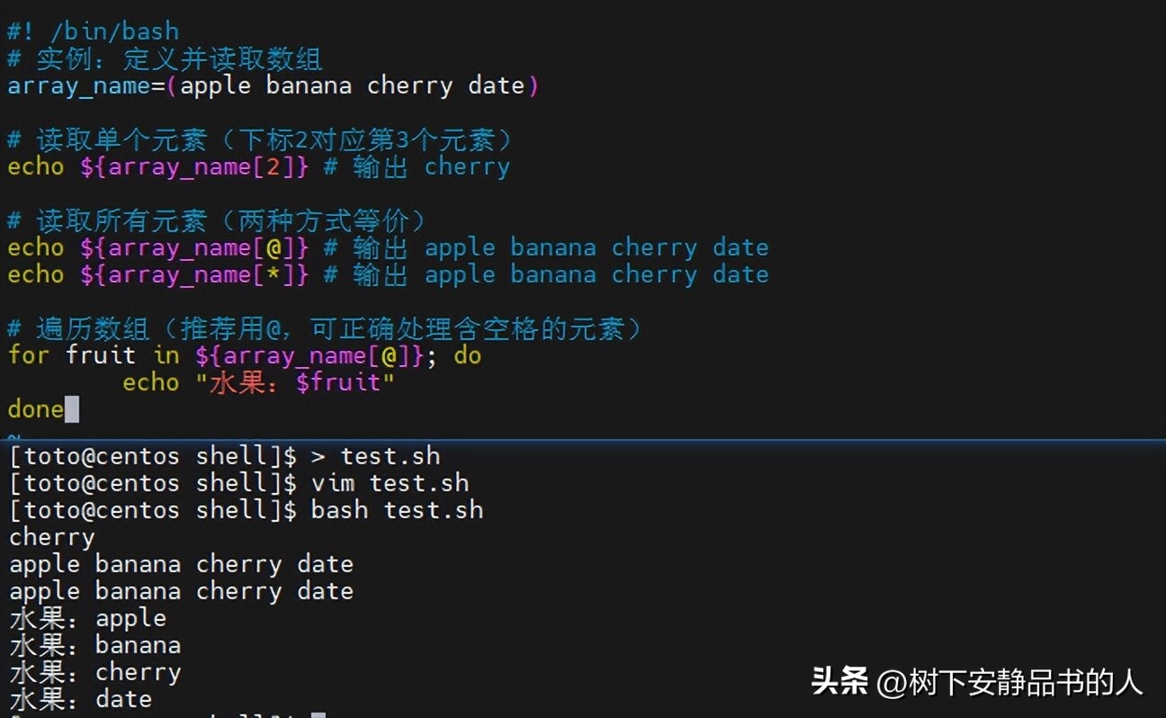 java执行shell脚本_bash与zsh比较_Shell编程入门教程