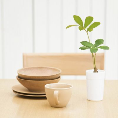 若小蚁摄像机无法连接网络？5种解决方法，重启、网口直连全解析