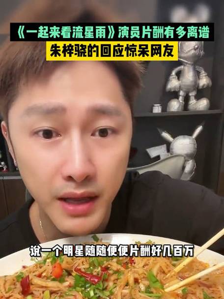 朱梓骁为什么退出_朱梓骁退出娱乐圈原因_朱梓骁怎么出道