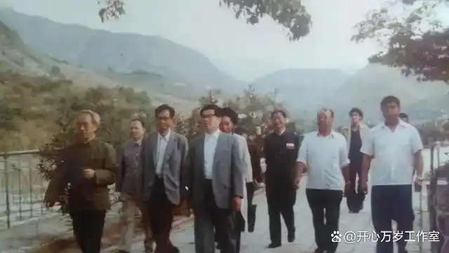 高严贪污潜逃案_高严就是高岗的儿子 高严情妇杨珊照片(一)_高严贪腐案细节