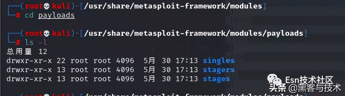 php入门教程pdf_Metasploit 内部架构详解_Metasploit 模块类型学习