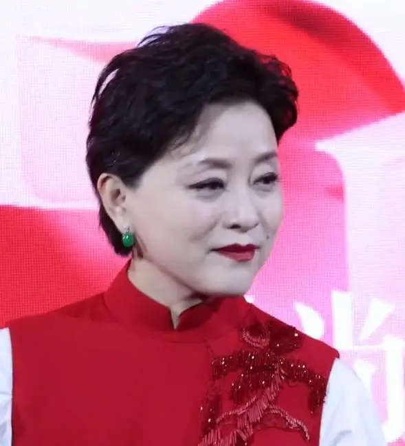 杨澜 央视美女主持人 90年代最美女主持人_欧阳夏丹还在央视吗