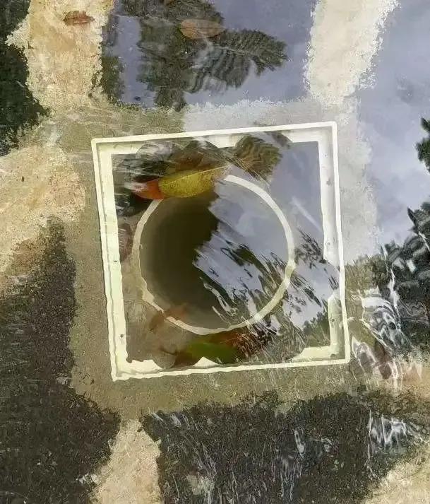 六岁女童酒店溺亡事故_酒店儿童安全管理漏洞_酒店管理漏洞