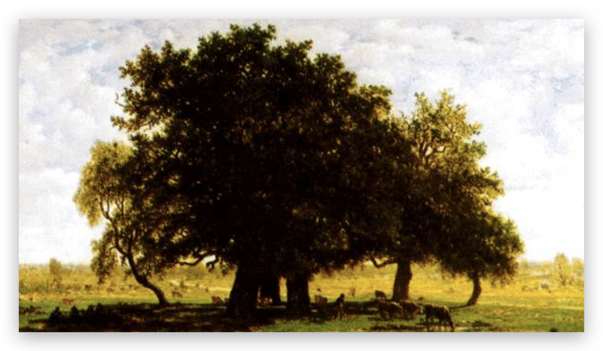 Java编程语言发展历史_java数据库高级教程_Java虚拟机JVM原理