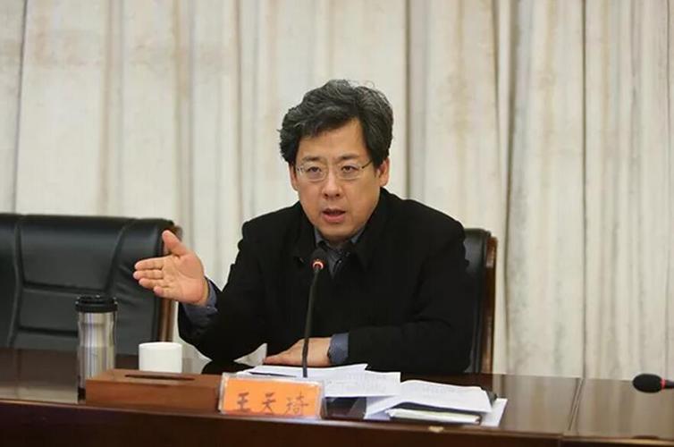 江苏代表团全国人大代表职务调整_王天琦陈蒙蒙人大职务变动_王天琦睢宁政绩