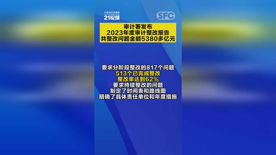 央企财务审计违法违纪_央企审计结果处理情况_河北审计新华网