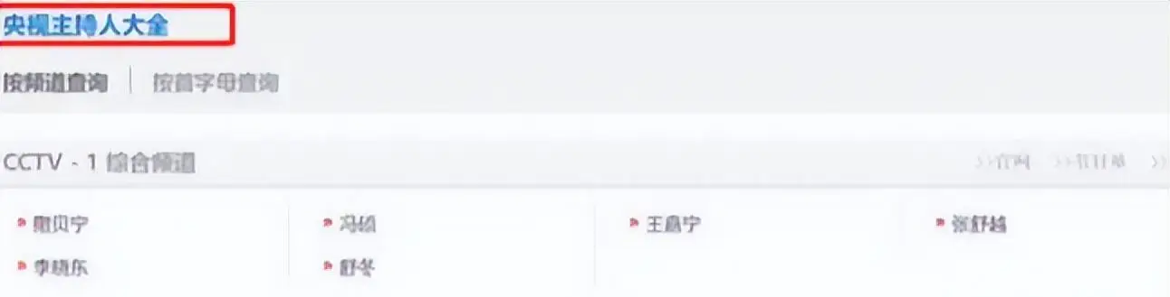 尼格买提 央视主持人 职业风波_欧阳夏丹还在央视吗