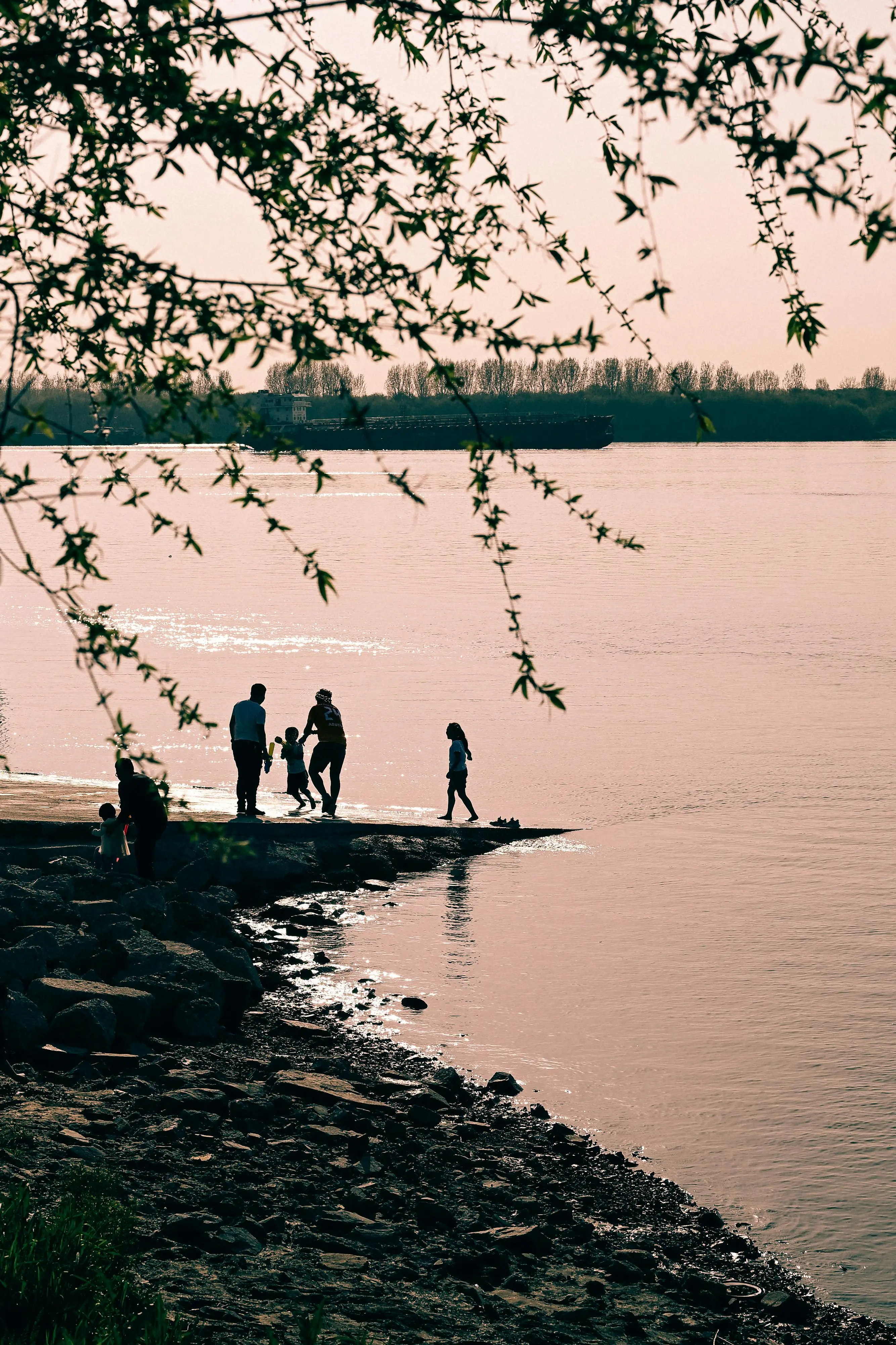欧阳夏丹还在央视吗_央视知名女主持人单身现状_央视女主持人单身原因