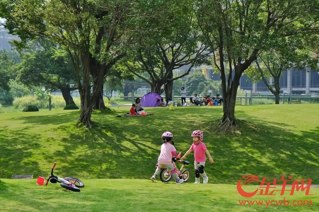 广州沙溪规划图_广州沙太路规划方案_广州沙村附近规划