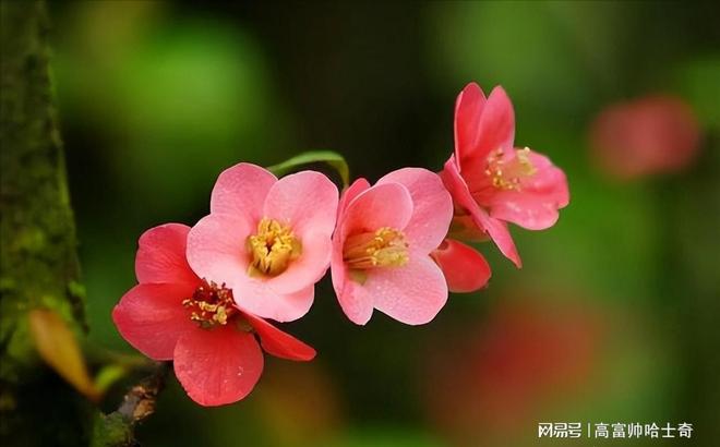 温婉气质是啥意思_气质如何培养_成熟稳重的人的特质