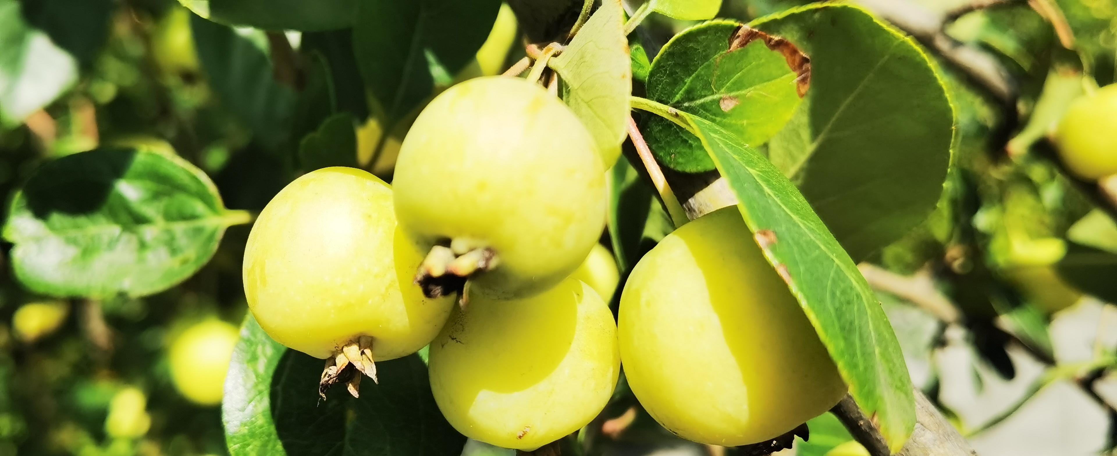 新闻稿件的结构_拆解爆款视频结构_分析爆款视频骨架