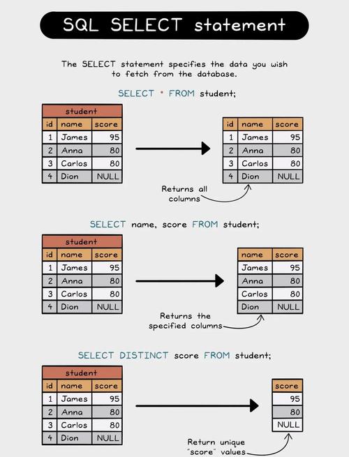 insertcolumn宽度 SQL基础语法详解：CREATE、INSERT、UPDATE语句教程与实例解析