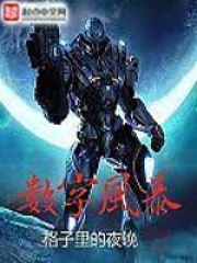 数字风暴在线阅读