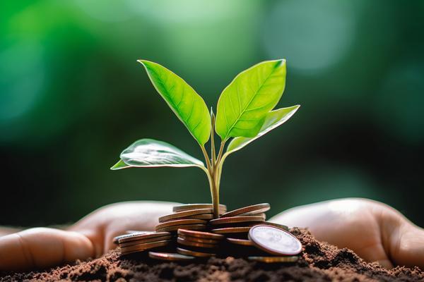 香港金融专业毕业生就业现状与职业发展路径分析 图2