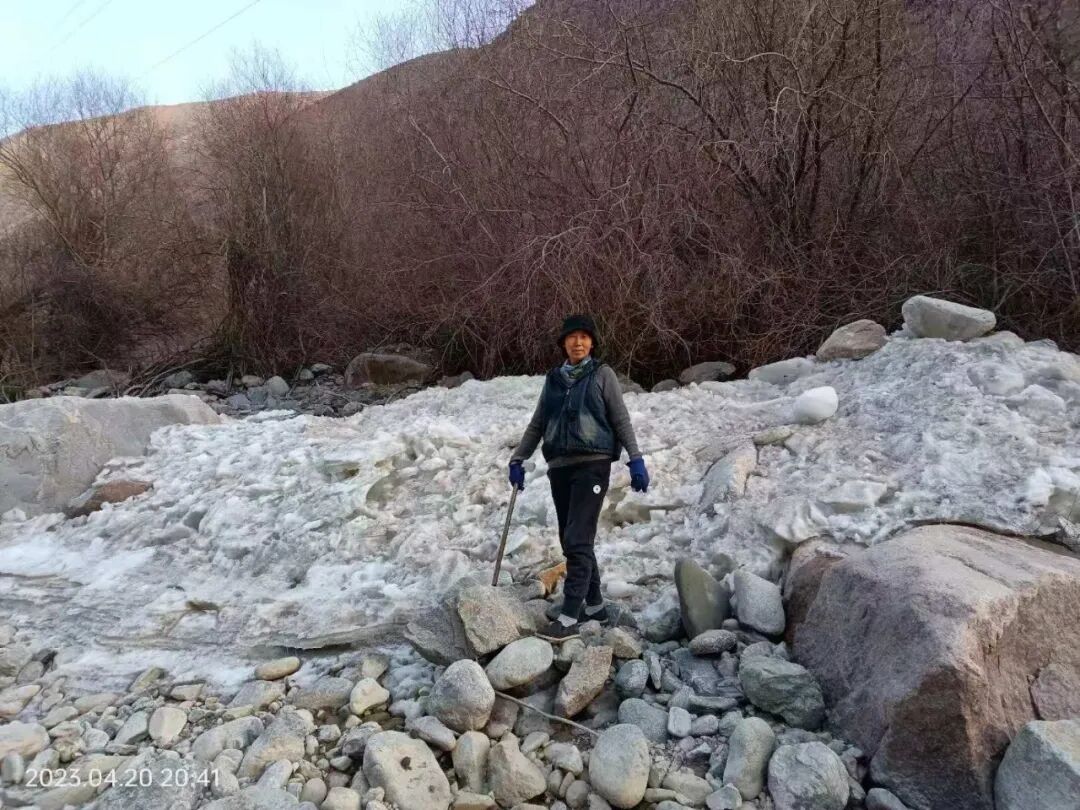 致敬逐梦的“她”_全国最美货车司机谢琳_老货车司机跑长途故事