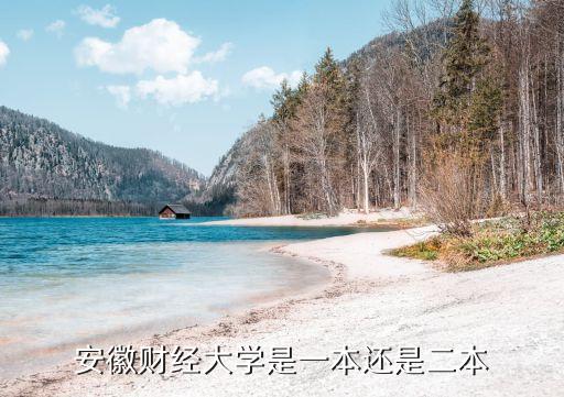 安徽财经大学是几本？揭秘：84%新生按一本线录取，专业实力解析