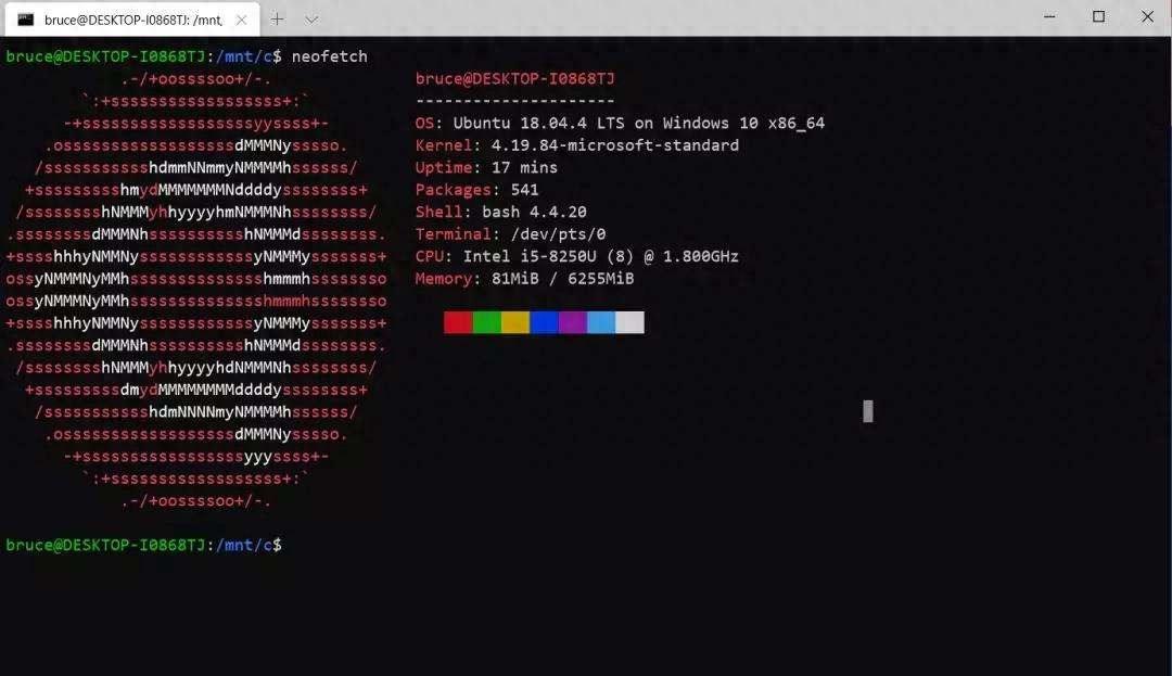 Windows系统运行Linux程序的演变，你知道什么是WSL吗？