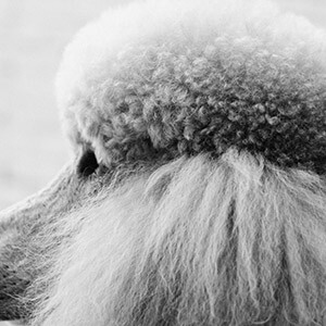 拼多多显示屏损坏维权_拼多多商品非人为损坏退换货_网上买的电脑屏幕收到是坏的