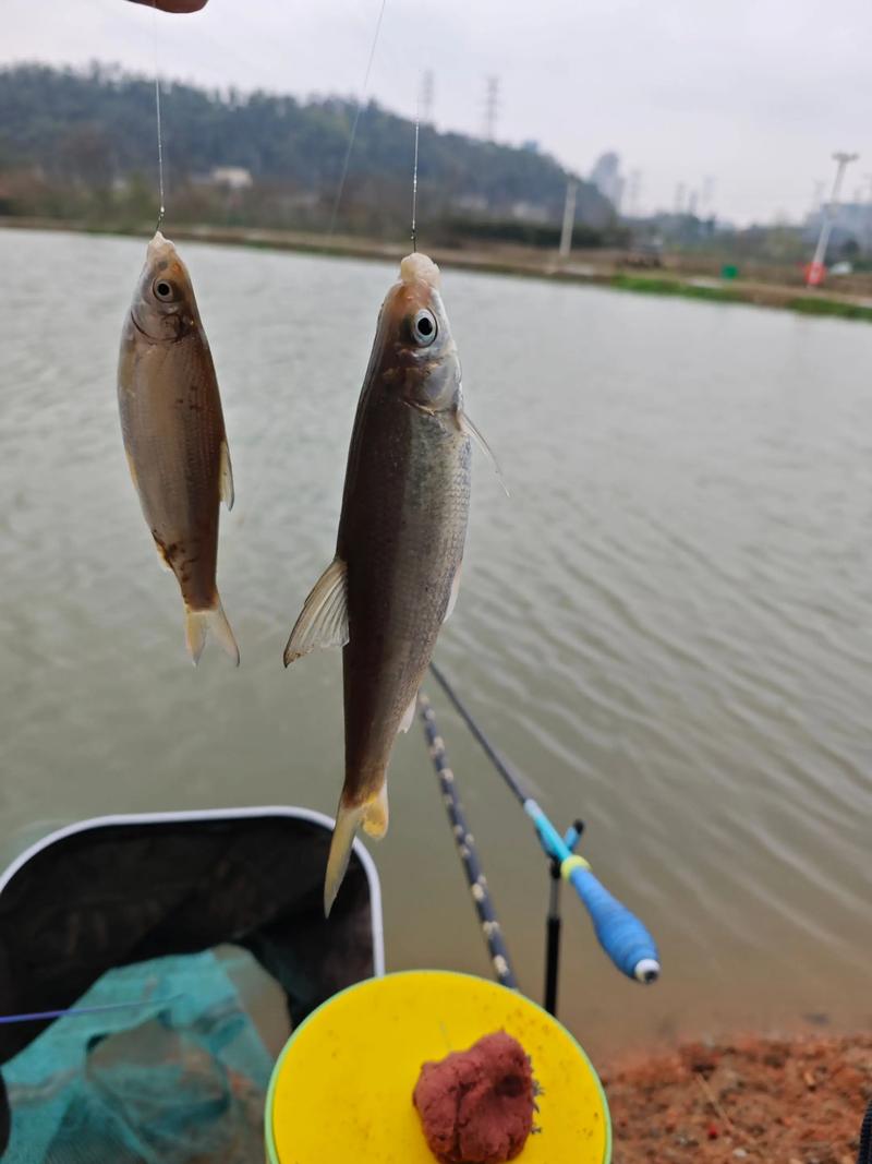 寒潮鱼情预报_天津海钓网最新新闻_全国气温差异钓鱼攻略