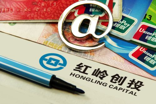 红岭创投网贷卷入纸业跑路 1亿借款平台先行垫付