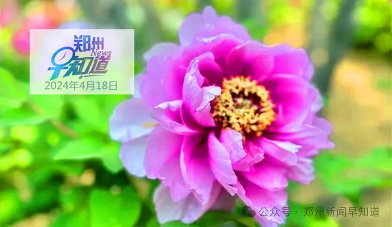 郑州今早天气转阴有阵雨 安伟会见新加坡部长谈经贸
