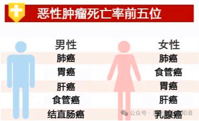 郑州市天气预报_郑州实时新闻_河南省新闻