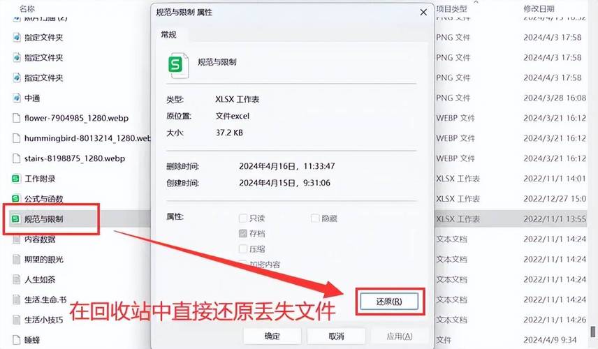 DiskDigger免费恢复软件_Windows文件恢复神器_电脑清空回收站好慢