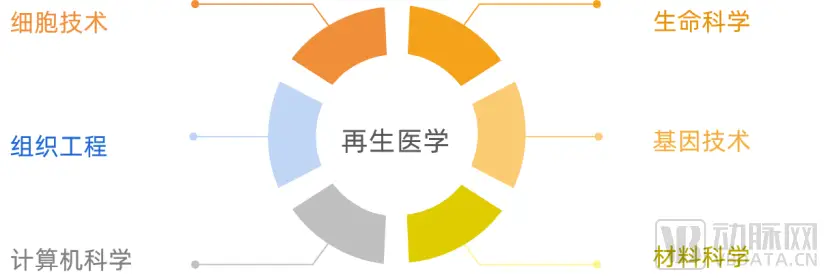 新产业医学：再生医学如何再延寿10-20年