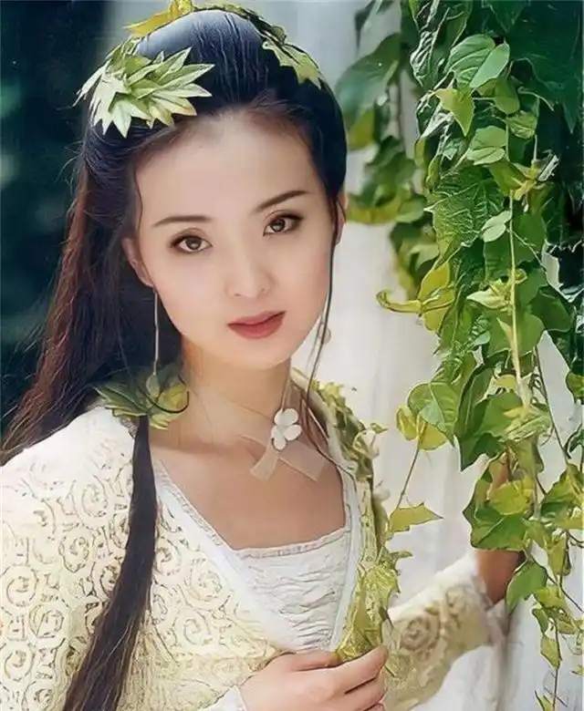 王艳跟王志才的照片_王志才和王艳的婚姻故事_王艳嫁给王志才的原因